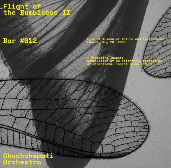 Flight of the Bumblebee II –
Das Chuchchepati Orchestra veröffentlicht heute sein zweites Album als Doppel-LP  bei Unit Records.